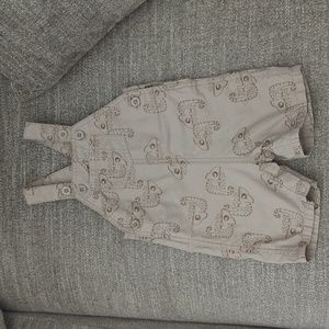 Carter's Overalls